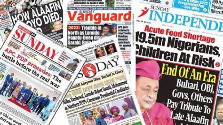 Nigerian Dailies Read Them: A Comprehensive Guide to Nigeria's Popular Newspapers