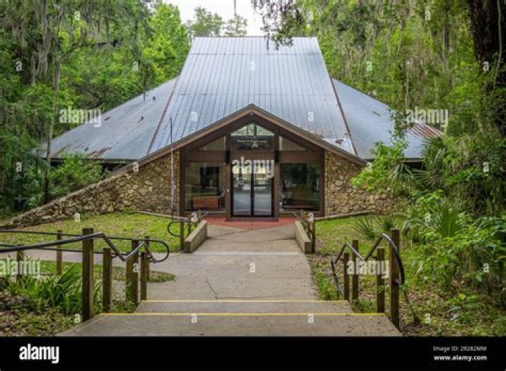 Paynes Prairie Preserve State Park Visitor Center: A Gateway to Nature's Paradise