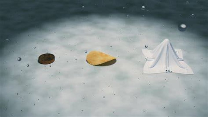 Penny Used Napkin Chip: A Deep Dive Into the Phenomenon and Its Impact
