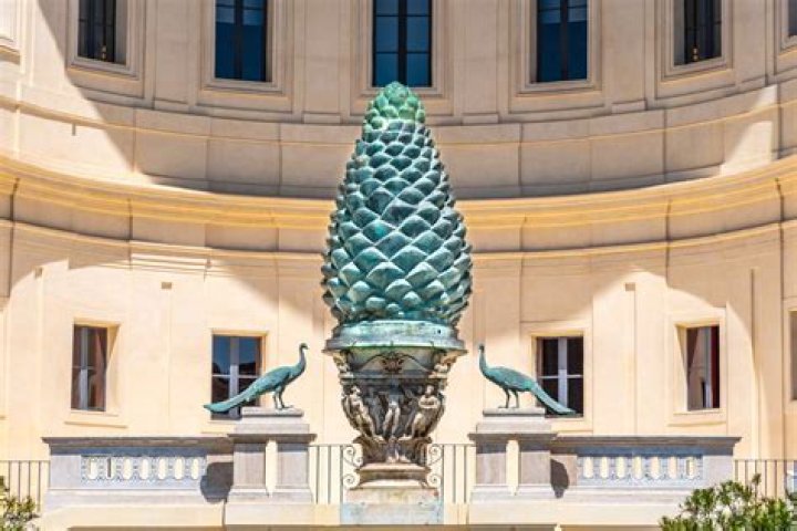 Pine Cone Courtyard: The Ultimate Guide to Serenity and Natural Beauty