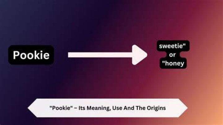 Pookie Definition: Exploring the Meaning and Significance