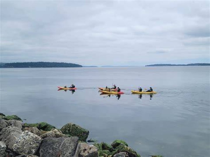 Port Orchard Cinema: Your Ultimate Guide to Entertainment