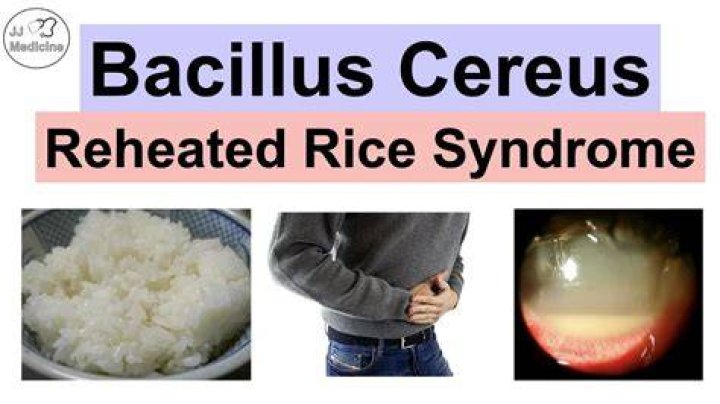 Reheated Rice Syndrome: Understanding the Risks, Symptoms, and Prevention