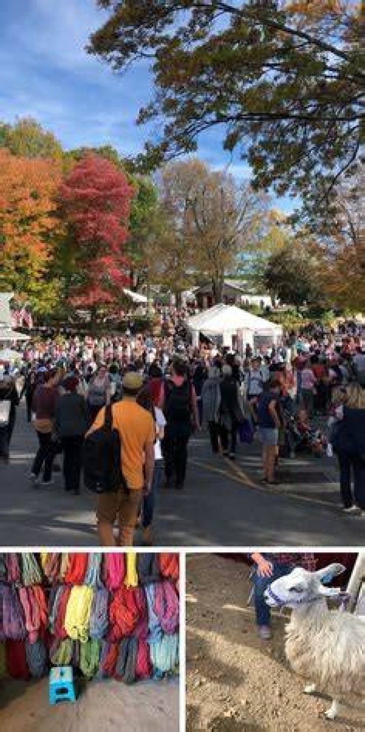 Rhinebeck Wool Festival: A Celebration of Fiber Art and Community