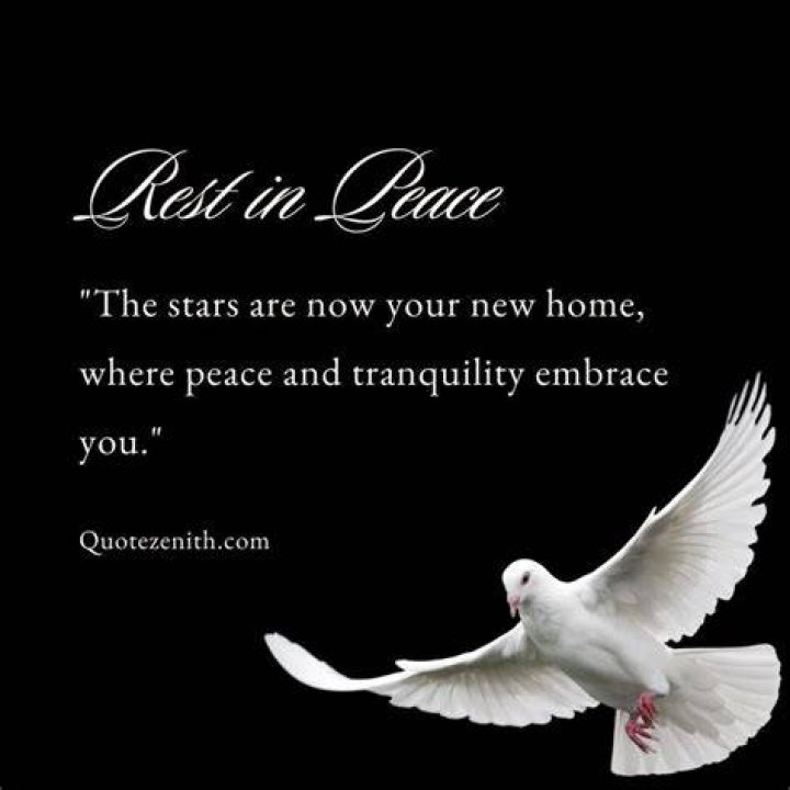 RIP Definition: Understanding the Meaning and Significance Behind "Rest in Peace"