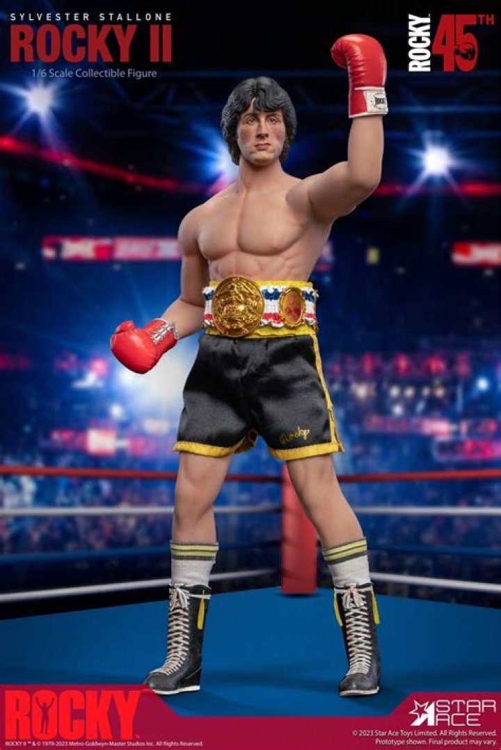 Rocky Ilvetallone: The Iconic Figure of Boxing and His Legacy