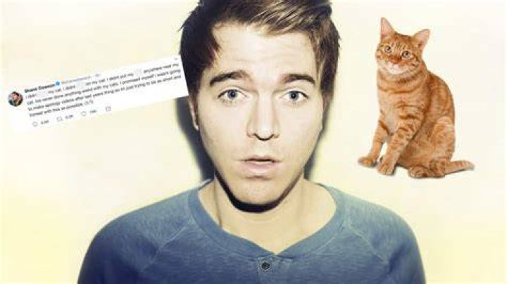 Shane Dawson Cat: A Comprehensive Guide to the Viral Sensation