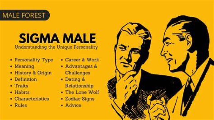 Sigma Male Definition: Understanding the Enigmatic Personality Type