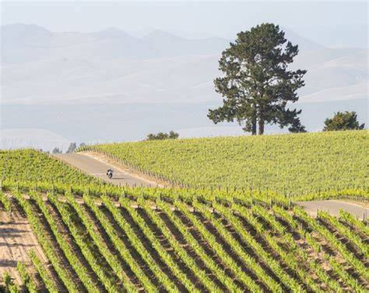 Silverado Napa CA: A Comprehensive Guide to This Iconic Wine Country Destination