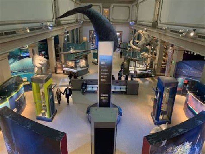 Smithsonian Natural History Museum Tickets: Your Ultimate Guide to a Memorable Visit