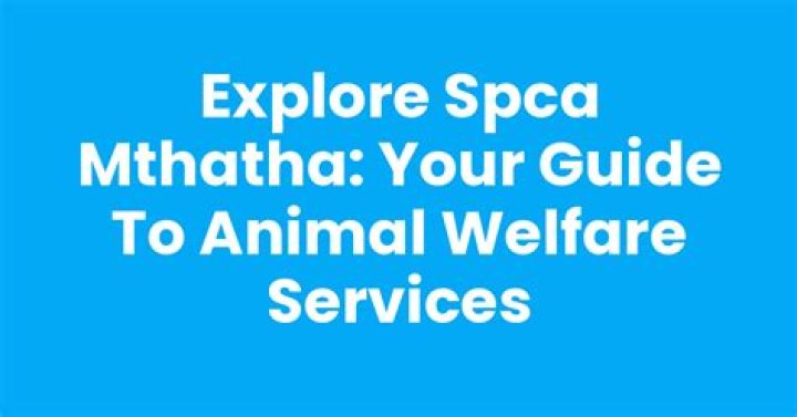 SPCA Mission: A Comprehensive Guide to Understanding and Supporting Animal Welfare