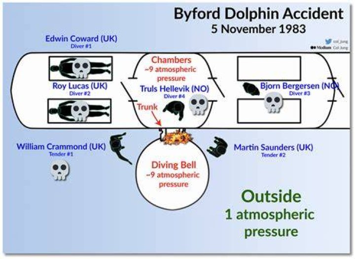 The Bi4 Dolphin Incident: A Comprehensive Analysis
