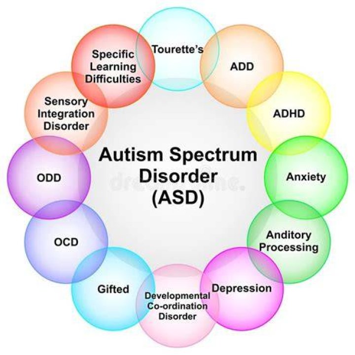 The Center for Autism and Related Disorders: A Comprehensive Guide to Understanding and Supporting Individuals with Autism
