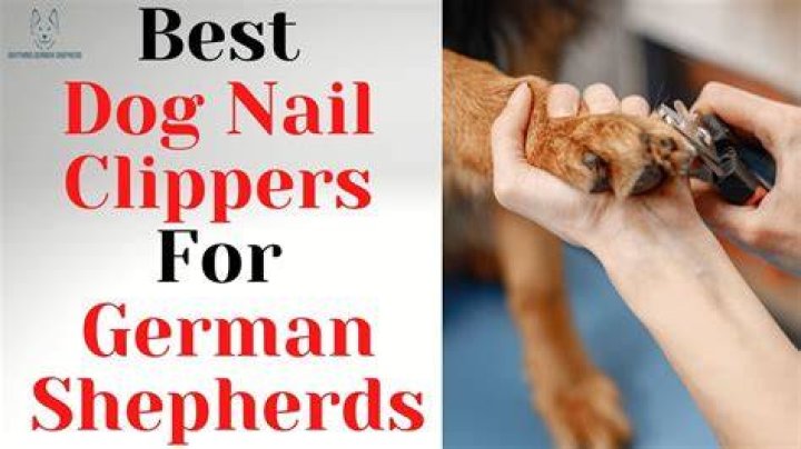 The Ultimate Guide to German Shepherd Nail Clippers: Everything You Need to Know