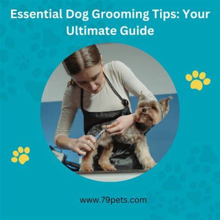 Ultimate Guide to Dogs Grooming: Tips, Techniques, and Expert Advice
