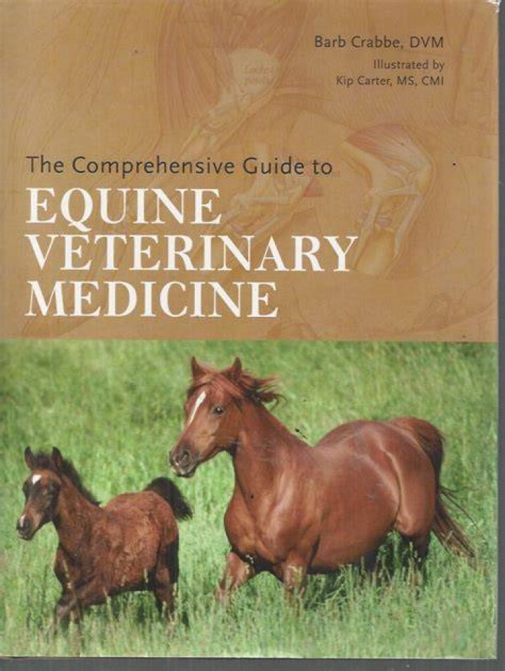 Unveiling the Magic of Horseshows: A Comprehensive Guide to Equine Showmanship