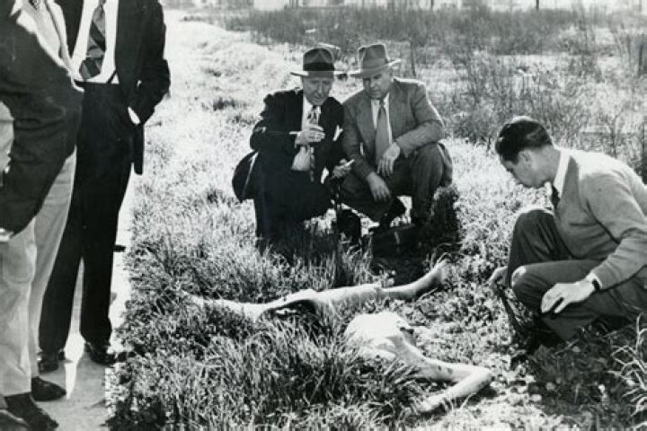 Unveiling the Mystery: The Black Dahlia Crime Scene