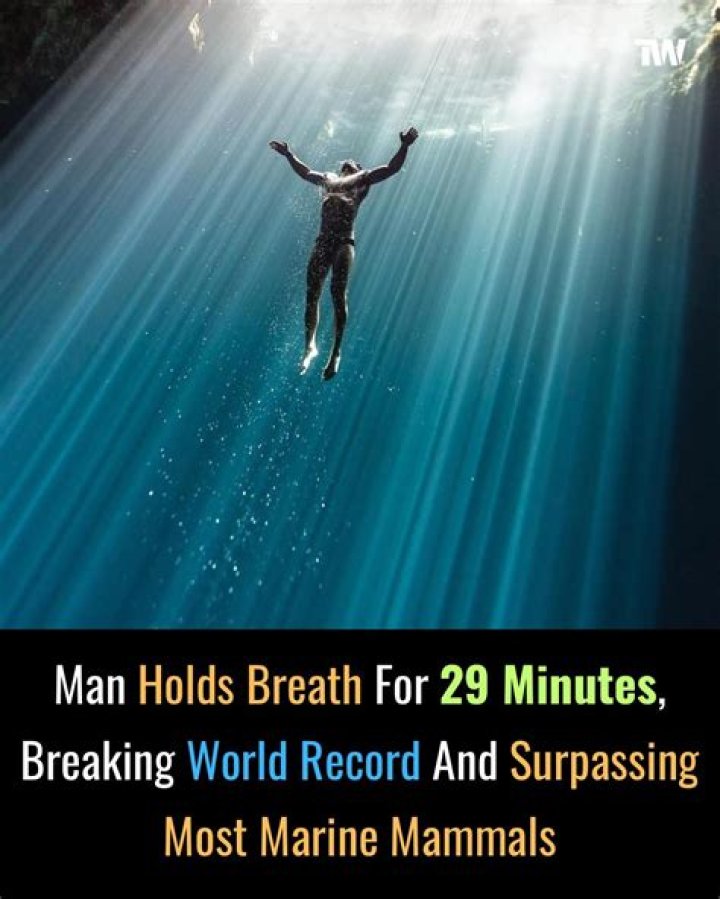 Unveiling the World Record for Breath Holding: An In-Depth Exploration