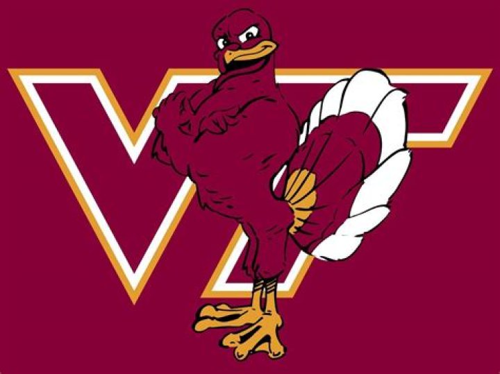 Virginia Tech Hokie Bird Logo: A Comprehensive Guide