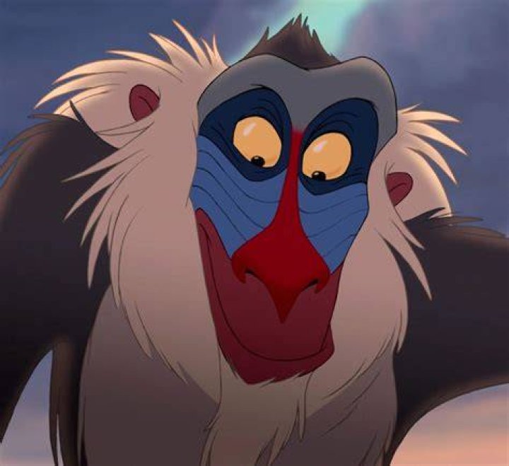 What Type of Monkey is Rafiki? Exploring the Fascinating Character from The Lion King