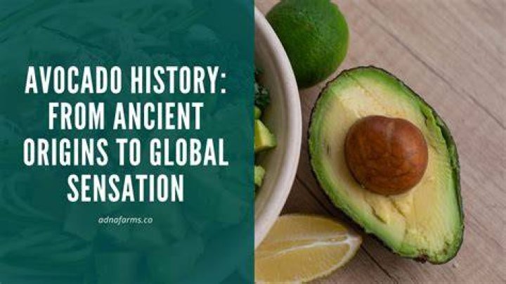 Where Was Patajak Born? Exploring the Origins and Fascinating Journey of a Global Sensation