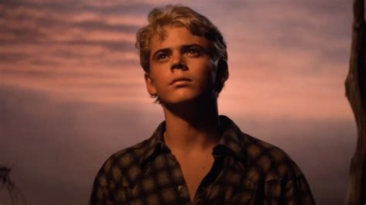 Who is Ponyboy Curtis in The Outsiders: A Comprehensive Exploration