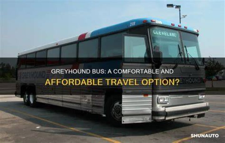 Why Greyhound Charter Bus is Your Best Option for Comfortable and Affordable Group Travel
