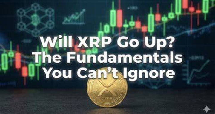 XRP Price: The Crypto You Can't Ignore in 2024