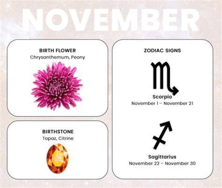 Zodiac Signs of November 19: Understanding the Traits, Characteristics, and Compatibility